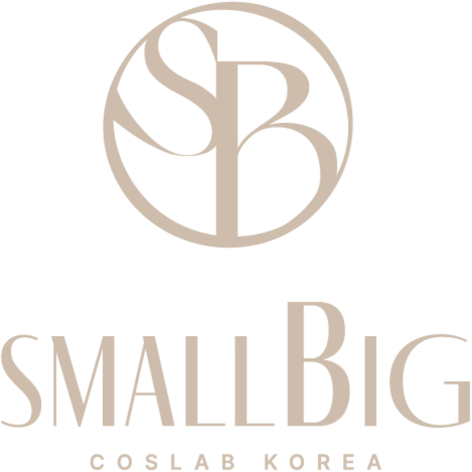 스몰빅 코리아